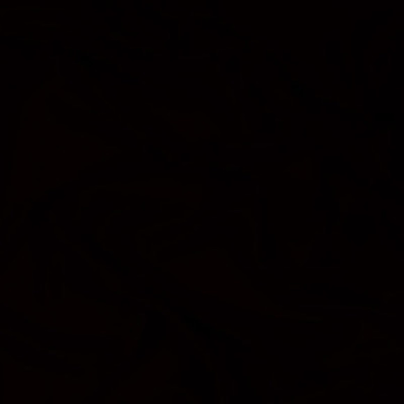 Meet your Posher, Alondra - Picture 1 of 1